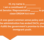 Script to call Congress